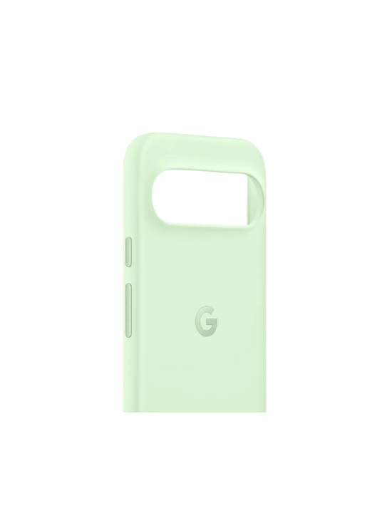 Google Pixel 9 Case | Wintergreen