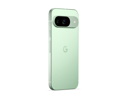 Pixel 9 | 256 GB | Wintergreen